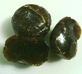 zk5