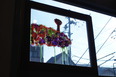 DSC00763