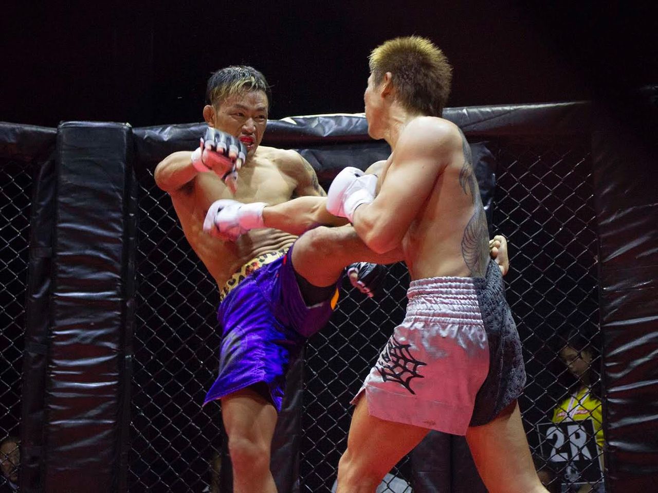 試合 総合格闘技アングラー 試合 総合格闘技アングラー