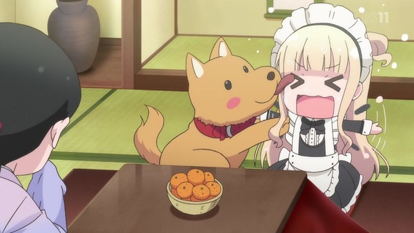423