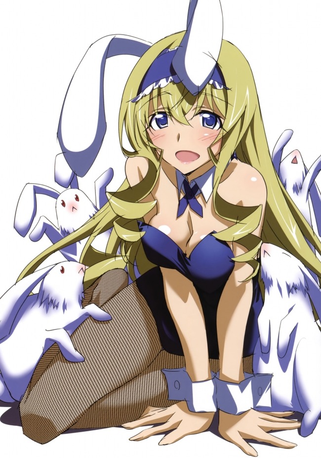 infinite_stratos-186-718x1024