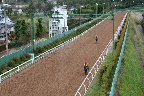 chiba005