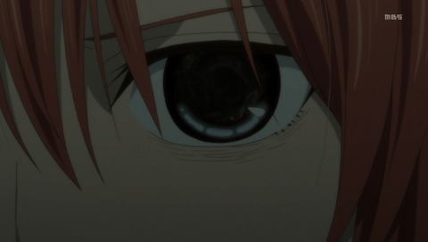 魔法使いの嫁 24話 最終回 感想 92