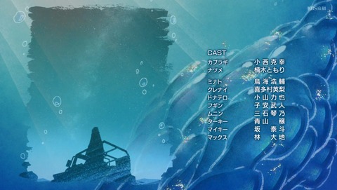 ANCB003260