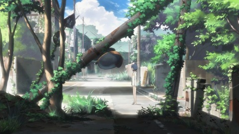 ancb02478