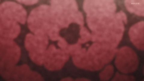 ANCB003127