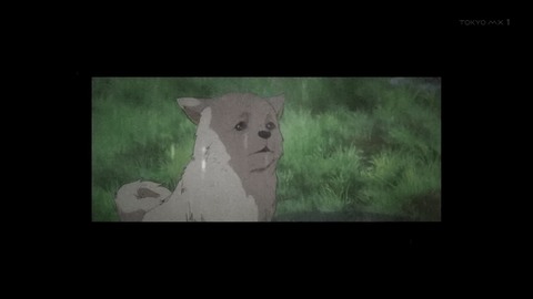 ancb00218