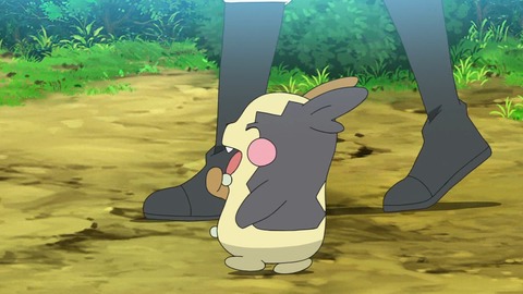 ポケットモンスター 第70話 感想 コジロウしか勝たん アニポケ 19 あにこ便
