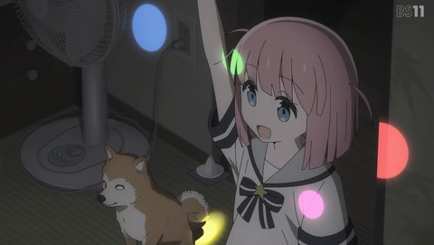 ANCB001086