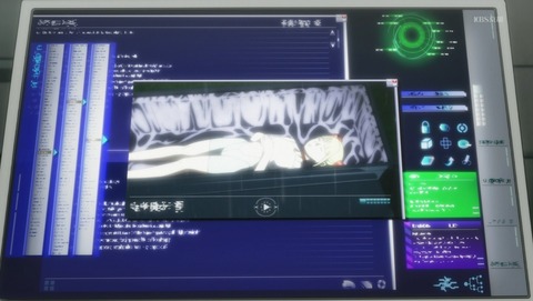 ANCB002395
