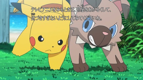 ポケットモンスター サン ムーン 第5話 感想 Mvpは完全にキテルグマ あにこ便 ポケットモンスター サン ムーン 第5話 感想 Mvpは完全にキテルグマ あにこ便