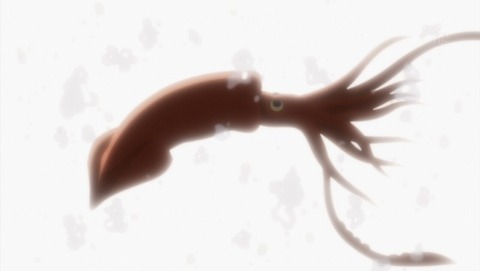 ancb002571