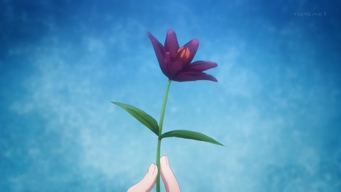 ANCB001167