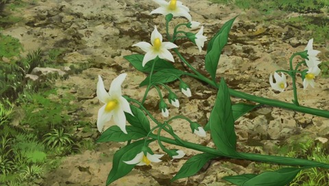 ancb002391