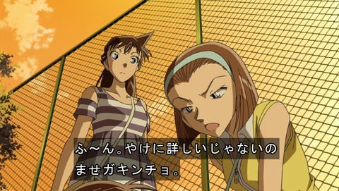 名探偵コナン 第784話 スマホにしたから推理が捗るｗ ｱﾆｵﾘ 感想 あにこ便