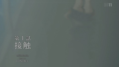ANCB003957