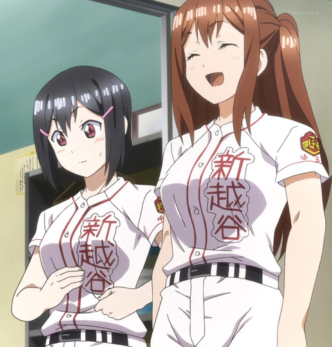 ANCB002295_stitch