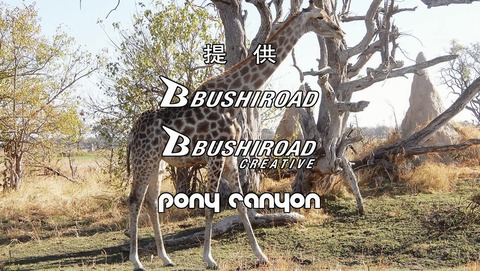 ANCB003149