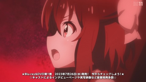 ANCB002063