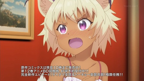 ド級編隊エグゼロス 12話 感想 0164
