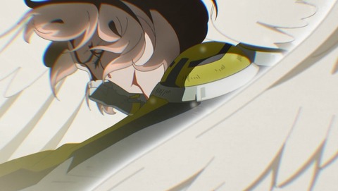 ANCB002225