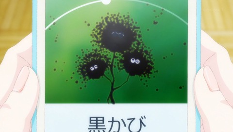 ancb00030