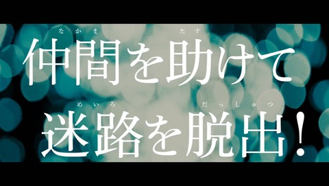 ancb02529