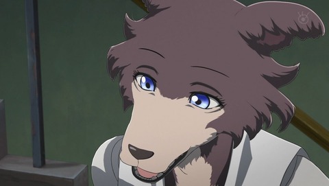 BEASTARS 12話 感想 0141