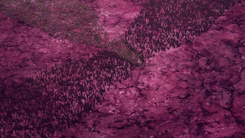 ANCB002109