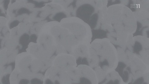 ANCB002174