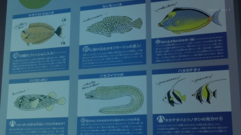 ancb03547
