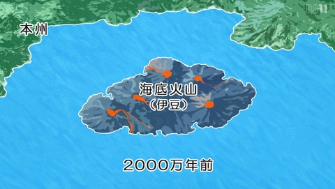 ANCB000698