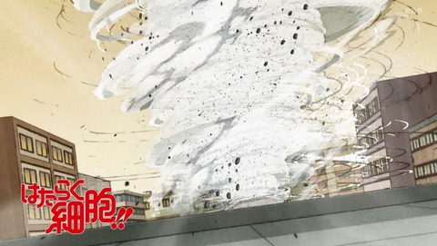 ANCB001470