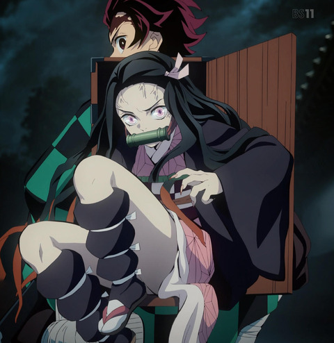 ANCB002311_stitch