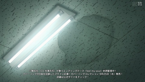 ANCB001297