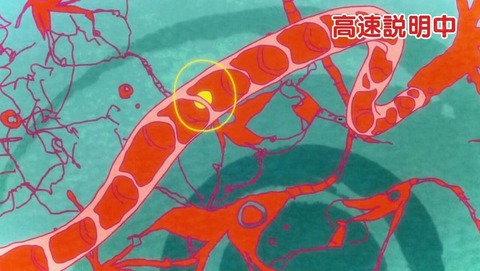 ancb000661