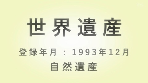 ancb01784