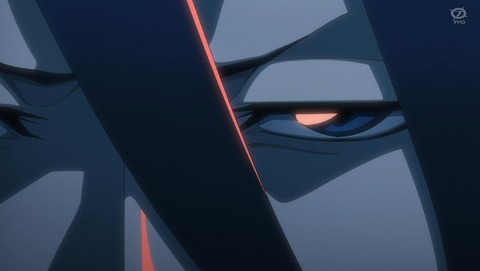 ANCB003020