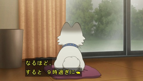 ANCB002135