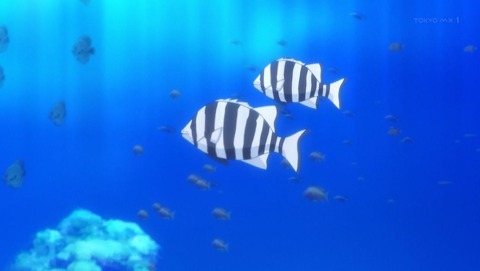 ancb00300