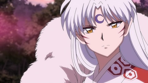 半妖の夜叉姫 23話 感想 053