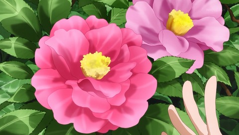 ANCB002214
