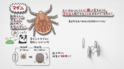 ancb00122