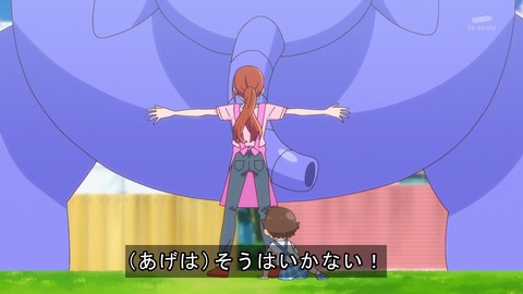 ひろがるスカイ!プリキュア 18話 感想 3595