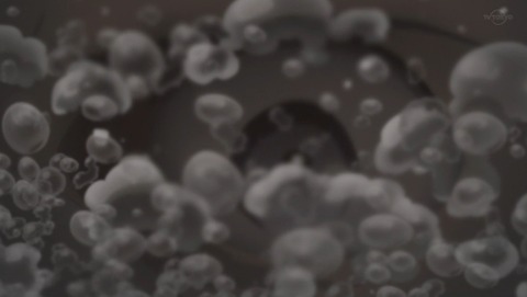 ancb03370