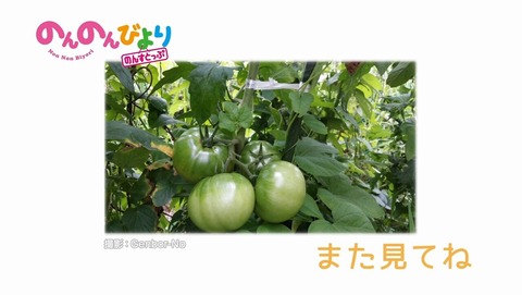 ancb002700