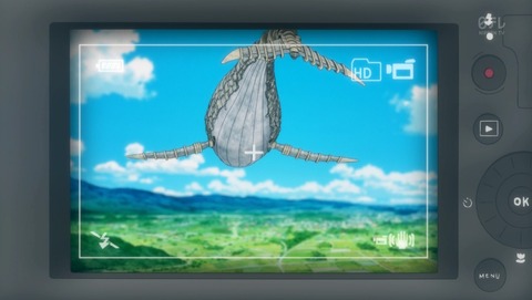 ANCB001081