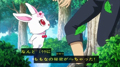 レディジュエルペット 24話 感想 445