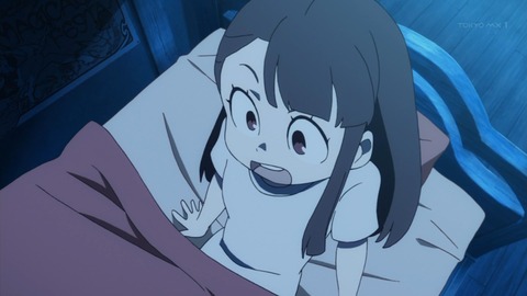 あにこ便