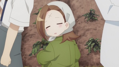 はめふら 2話 感想 003